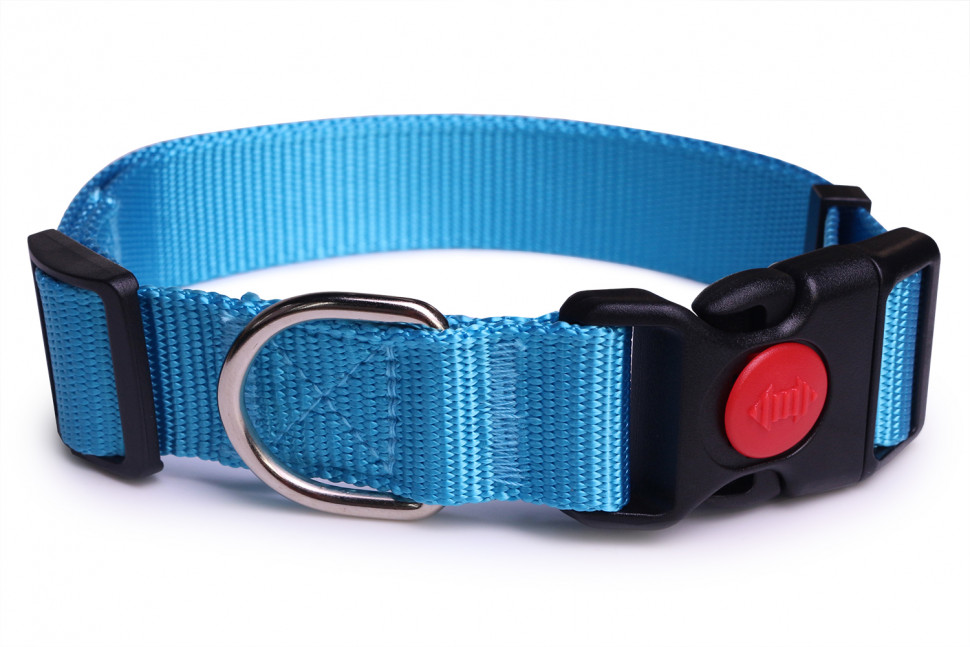 Ошейник для собак LionPets LPO-045-4 Голубой S (Обхват 28-48 см, ш/2,0 см)