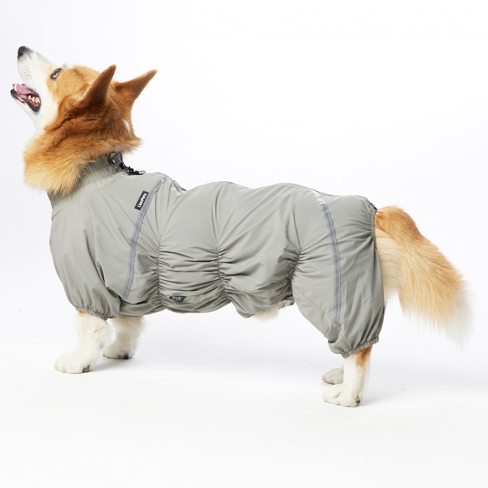 Дождевик LionPets Корги LPK-9125-133 на мальчика Цвет: Шалфей  Разм 2 (сп 50, шея 36-54см)
