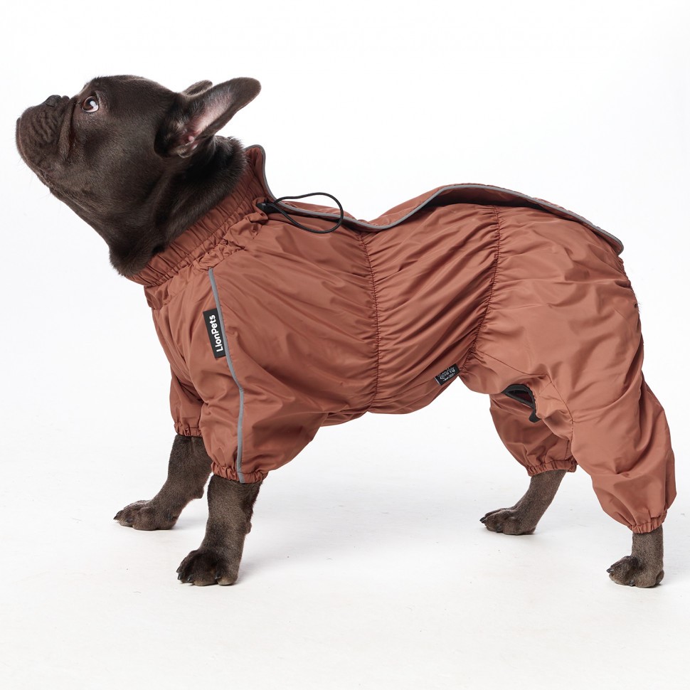 Дождевик LionPets Французский бульдог LPK9025-128 на мальчика Цвет: Шоколадный