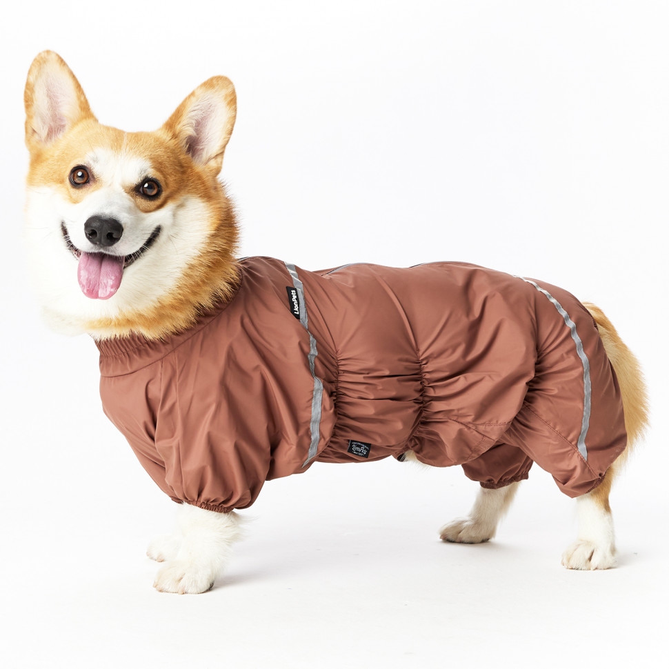 Дождевик LionPets Корги LPK-9125-128 на мальчика Цвет: Шоколад  Разм 2 (сп 50, шея 36-54см)