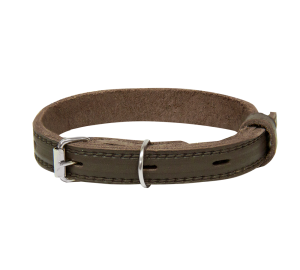 Ошейник кожаный с тиснением 15 мм, 26-35 см