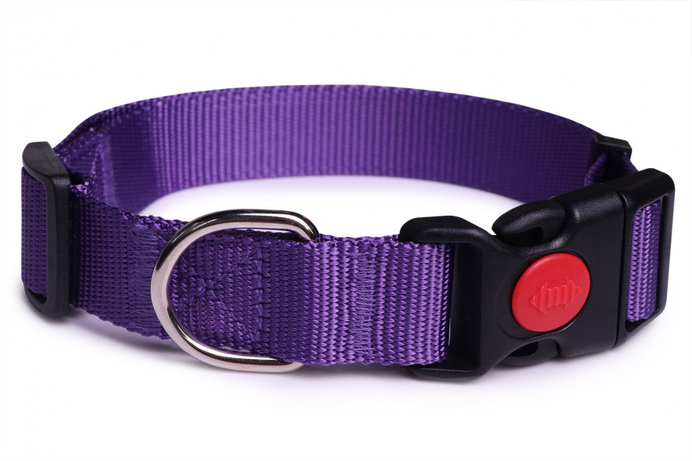 Ошейник для собак LionPets LPO-045-6 Фиолетовый S (Обхват 28-48 см, ш/2,0 см)