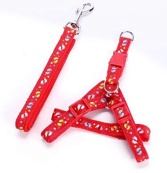 Шлейка + поводок С ПРИНТОМ Размер M (1,5*120) Rich Breed Шлейка + поводок С ПРИНТОМ Размер M (1,5*120) Rich Breed