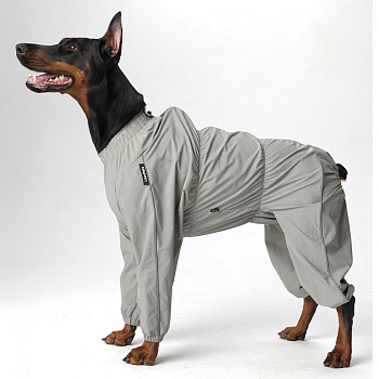 Дождевик LionPets SDK-2550-133 на девочку, цвет: Шалфей Разм 6 (сп 77см, шея 54-78 гр 64-96см) Дождевик LionPets SDK-2550-133 на девочку, цвет: Шалфей Разм 6 (сп 77см, шея 54-78 гр 64-96см)