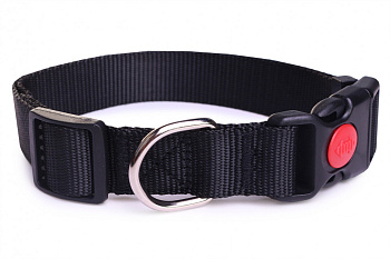 Ошейник для собак LionPets LPO-045-8 Черный M (Обхват 36-60 см, ш/2,5 см)