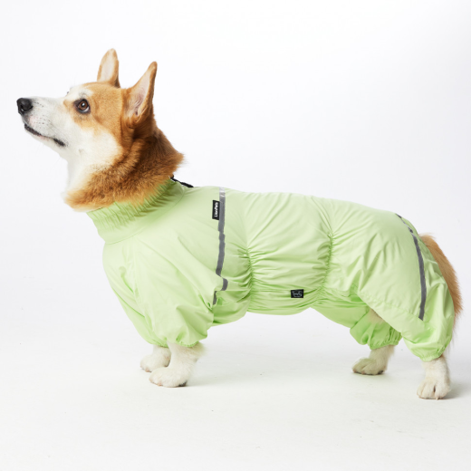 Дождевик LionPets Корги LPK-9125-4 на девочку Цвет: Салатовый Разм 2 (сп 50 шея 36-47см) Дождевик LionPets Корги LPK-9125-4 на девочку Цвет: Салатовый Разм 2 (сп 50 шея 36-47см)