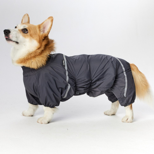 Дождевик LionPets Корги LPK-9125-135 на мальчика Цвет: Серый Разм 2 (сп 50, шея 36-54см)